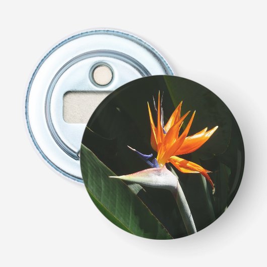 Vogelvogel van het Paradise Oranje Tropische Bloem Button Flesopener (Voorkant)
