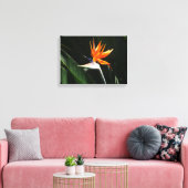 Vogelvogel van het Paradise Oranje Tropische Bloem Canvas Afdruk (Insitu (Woonkamer))