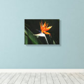 Vogelvogel van het Paradise Oranje Tropische Bloem Canvas Afdruk (Insitu (Houten vloer))