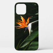 Vogelvogel van het Paradise Oranje Tropische Bloem Case-Mate iPhone Case (Achterkant)