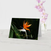 Vogelvogel van het Paradise Oranje Tropische Bloem Folie Wenskaart (Orchidee)