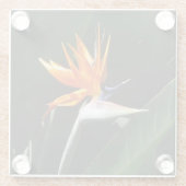 Vogelvogel van het Paradise Oranje Tropische Bloem Glazen Onderzetter (Achterkant)