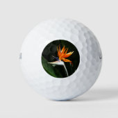 Vogelvogel van het Paradise Oranje Tropische Bloem Golfballen (Voorkant)