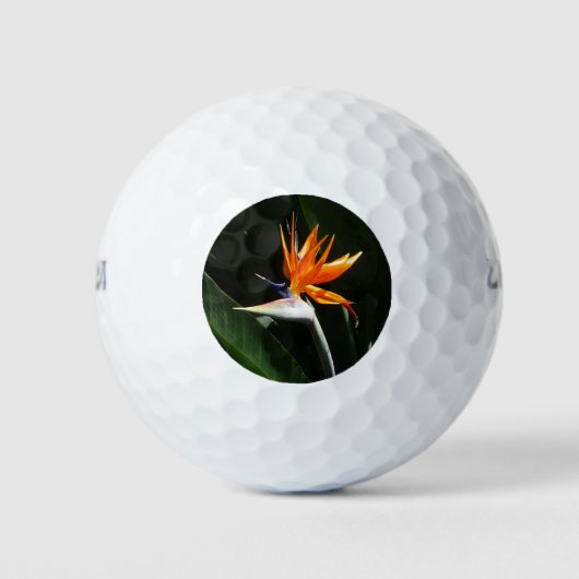 Vogelvogel van het Paradise Oranje Tropische Bloem Golfballen (Voorkant)