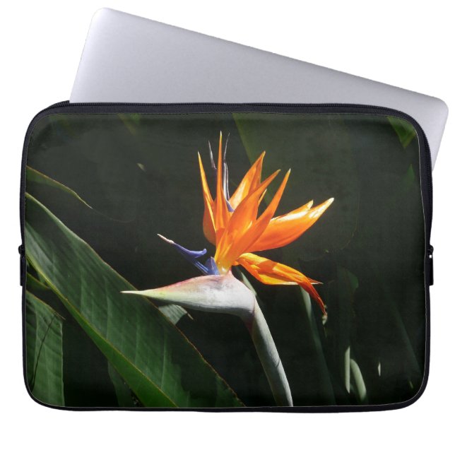 Vogelvogel van het Paradise Oranje Tropische Bloem Laptop Sleeve (Voorkant)