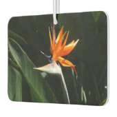 Vogelvogel van het Paradise Oranje Tropische Bloem Luchtverfrisser (Links)