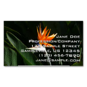 Vogelvogel van het Paradise Oranje Tropische Bloem Magnetisch Visitekaartje (Voorkant)