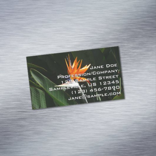 Vogelvogel van het Paradise Oranje Tropische Bloem Magnetisch Visitekaartje (Voorbeeld)