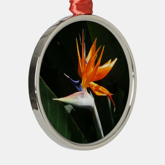Vogelvogel van het Paradise Oranje Tropische Bloem Metalen Ornament (Rechts)