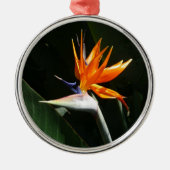 Vogelvogel van het Paradise Oranje Tropische Bloem Metalen Ornament (Voorkant)