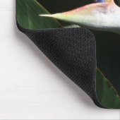 Vogelvogel van het Paradise Oranje Tropische Bloem Muismat (Hoek)