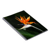 Vogelvogel van het Paradise Oranje Tropische Bloem Notitieboek (Rechterzijde)