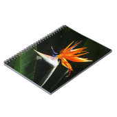 Vogelvogel van het Paradise Oranje Tropische Bloem Notitieboek (Linkerzijde)