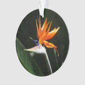 Vogelvogel van het Paradise Oranje Tropische Bloem Ornament (voorkant)