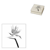 Vogelvogel van het Paradise Oranje Tropische Bloem Rubberstempel (Gestempeld)