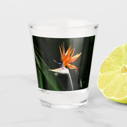 Vogelvogel van het Paradise Oranje Tropische Bloem Shot Glas (Voorkant)