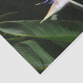 Vogelvogel van het Paradise Oranje Tropische Bloem Tissuepapier (Detail)