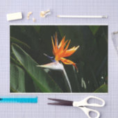 Vogelvogel van het Paradise Oranje Tropische Bloem Tissuepapier (Craft)