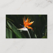 Vogelvogel van het Paradise Oranje Tropische Bloem Visitekaartje (Achterkant)