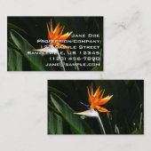 Vogelvogel van het Paradise Oranje Tropische Bloem Visitekaartje (Voorkant / Achterkant)