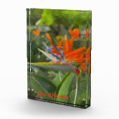 Vogelvogel van paradijsolie fotoblokken (Rechts)