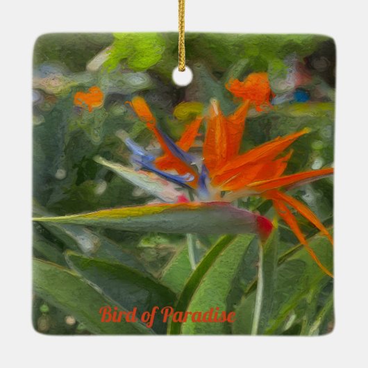 Vogelvogel van paradijsolie keramisch ornament (Achterkant)