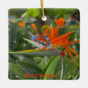 Vogelvogel van paradijsolie keramisch ornament