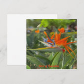 Vogelvogel van paradijsolie notitiekaartje (Voorkant / Achterkant)