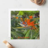 Vogelvogel van paradijsolie notitiekaartje (Voorkant / Achterkant in situ)