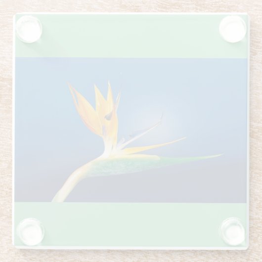 Vogelvogel van Paradise Glass Onderzetter (Achterkant)