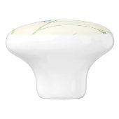 Vogelvogelbloemkool Knop voor tuin (Zijkant)