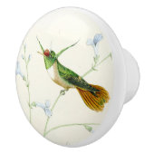 Vogelvogelbloemkool Knop voor tuin (Rechts)