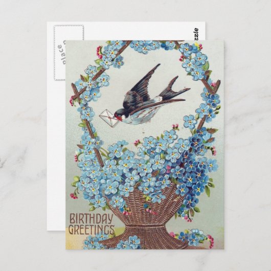 Vogelvogelmand Briefkaart (Voorkant / Achterkant)