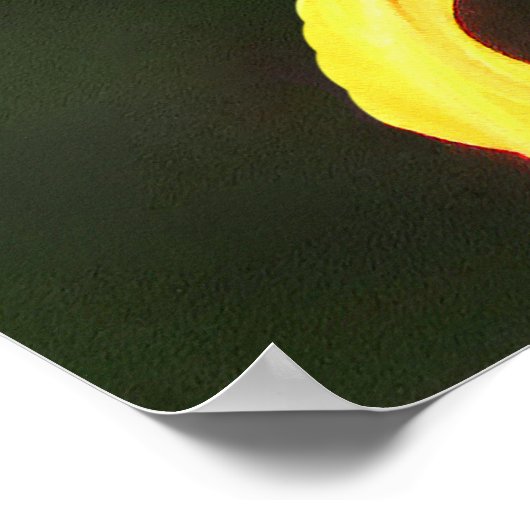 Vogelvogelmonboogvlinder Poster (Hoek)