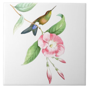 Vogelvogels bloemen bloemen dieren in het wild tegeltje