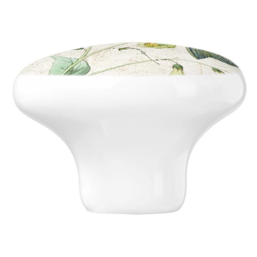 Vogelvogels Bloemen Dierlijke keramische knol Keramische Knop (Zijkant)