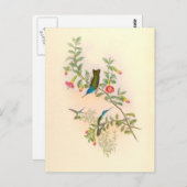 Vogelvogels bloemen Florentijnse dieren Wilde dier Briefkaart (Voorkant / Achterkant)