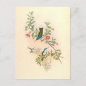 Vogelvogels bloemen Florentijnse dieren Wilde dier Briefkaart (Voorkant)