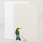 Vogelvogels bloemen Florenz Wilde dieren Briefpapier (Voorkant / Achterkant)