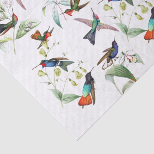 Vogelvogels bloemen papier (Detail)