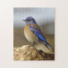 Vogelvogels, Bluebird, Legpuzzel