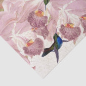 Vogelvogels Butterflies Florence Weefsel Paper Tissuepapier (Detail)