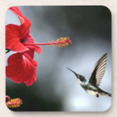 Vogelvogels en rode fluiten bier onderzetter (Voorkant)