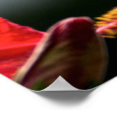 Vogelvogels en rode fluiten poster (Hoek)