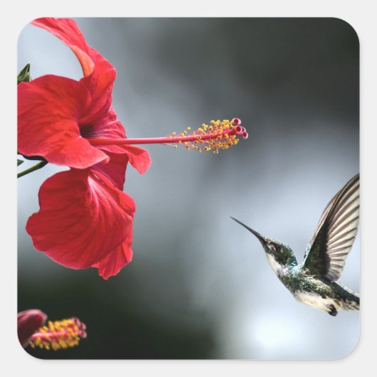 Vogelvogels en rode fluiten vierkante sticker (Voorkant)