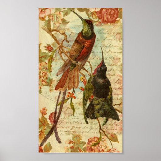 Vogelvogels en Rozen Poster (Voorkant)