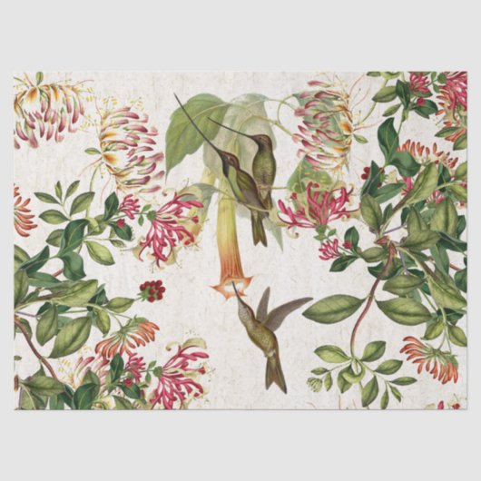 Vogelvogels Honeysuckle Flowers Weefpapier Tissuepapier (Voorkant)