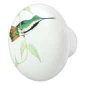 Vogelvogels in het wild Dier Knop (Rechts)
