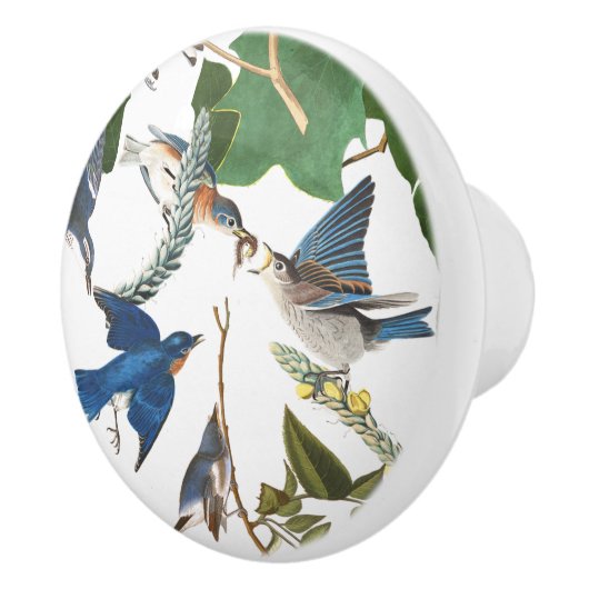 Vogelvogels in het wild keramische knop (Rechts)