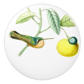 Vogelvogels in het wild levende dieren fruitknol keramische knop (Voorkant)